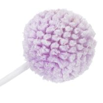 Artikel Craspedia Trockenblumen 55cm 20 Stiele für Tischdekoration Innenbereich
