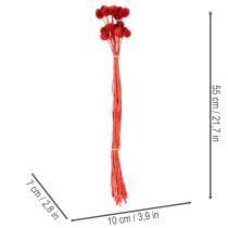 Artikel Trockenblumen Craspedia Rot, 55 cm, 20 Stiele, gefärbt