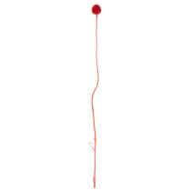 Artikel Trockenblumen Craspedia Rot, 55 cm, 20 Stiele, gefärbt