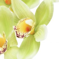 Artikel Cymbidium Orchidee künstlich 5 Blüten Grün 65cm
