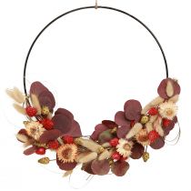 Artikel DIY Box Ring mit Trockenblumen Loop Strohblumen Ø30cm - Kreativ-Set für Wanddeko und Tischschmuck