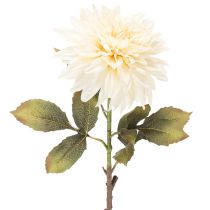 Artikel Künstliche Dahlienblume 68cm Cremeweiß für Innenraumdekoration