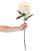 Artikel Künstliche Dahlienblume 68cm Cremeweiß für Innenraumdekoration