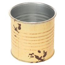 Artikel Deko Dose Sommer Apricot Metalldose Pflanztopf Ø8cm H7,5cm