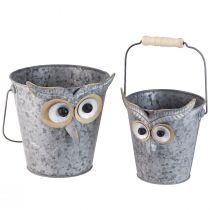 Artikel Zink Deko-Eimer Eule, Set aus 2, Henkel mit Holzgriff, Vielseitiger Übertopf Ø15/19cm