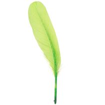 Artikel Deko Federn Gänsefedern Hellgrün für Basteln 20g x 2 Stück