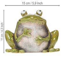 Artikel Dekorationsfigur Keramik Frosch 15,5cm Innen- und Außenbereich