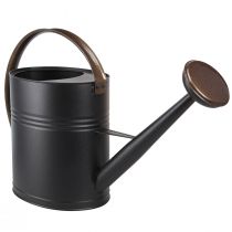 Artikel Deko Gießkanne Metall Schwarz Olivgrün Vintage Retro Balkondeko