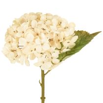 Artikel Deko Hortensien künstlich Creme Seidenblumen 34cm 2St – Elegante Raumdeko