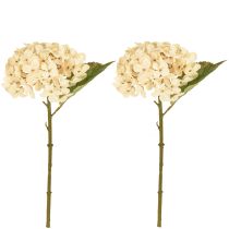 Artikel Deko Hortensien künstlich Creme Seidenblumen 34cm 2St – Elegante Raumdeko