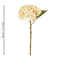 Artikel Deko Hortensien künstlich Creme Seidenblumen 34cm 2St – Elegante Raumdeko