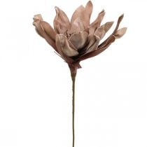 Deko Lotusblüte Künstlich Lotosblume Kunstblume Braun L68cm