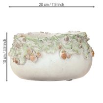 Artikel Deko Schale Steinguss mit Eicheln Pflanzschale rustikal 20cm
