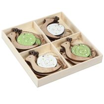 Artikel Deko Schnecke Holz Hängedeko Natur Grün Frühling Sommer 6,5cm 12er-Set