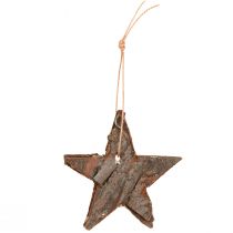 Artikel Öko-Chic Weihnachtsbaumschmuck Piniensterne Naturbraun 6cm Set 12tlg