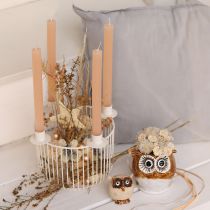 Artikel Deko Sterne Hanf Bast 7,5cm Baumschmuck 8 Stk