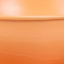 Artikel Deko Tasse Metall Orange Ø16cm H9cm + Teller - Floristik21