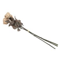 Artikel Deko Rosen Cremeweiß Künstliche Rosen Seidenblumen Antik Optik L65cm 3St
