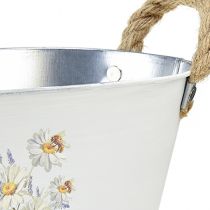 Artikel Deko Schale Oval Metall Weiß Natur Blumen Dekor L26cm