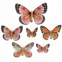 Deko Schmetterlinge mit Clip B4,5–11,5cm 10St Braun Orange