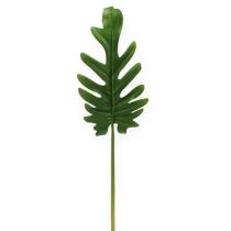 Artikel Dekoblätter Philodendron Grün B11cm L34cm 6St