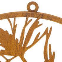 Artikel Dekoring Metallring Edelrost Wanddeko Kiefernzweig Ø38cm