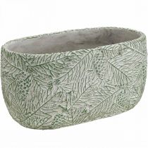 Artikel Dekoschale Keramik Oval Grün Weiß Grau Tannenzweige L22,5cm