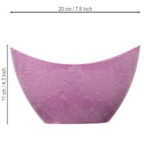 Artikel Dekoschale Plastik Pink 20cm x 9cm H11,5cm  1 St