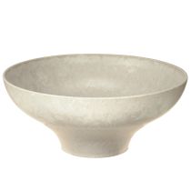 Artikel Dekoschale Creme Plastikschale rund Ø19cm H8cm für Floristen