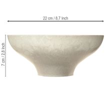 Artikel Dekoschale Creme Plastikschale rund Ø19cm H8cm für Floristen