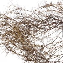 Dekozweige Iron Bush Zweige Naturdeko Holz Natur 250g