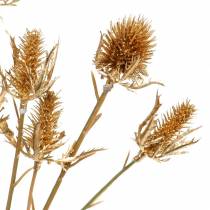 Distel-Zweig künstlich Golden L71,5cm