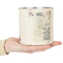 Artikel Dose Übertopf Creme Metall Shabby Chic Ø11cm H10,5cm