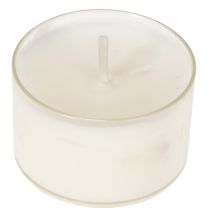 Artikel Teelichter Duftkerzen Citronella 7 Stunden Brenndauer 18er Set für Außenbereiche