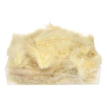 Artikel Echte hellgelbe Federn 5cm–10cm 20g – Kreatives Basteln