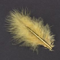 Artikel Echte hellgelbe Federn 5cm–10cm 20g – Kreatives Basteln