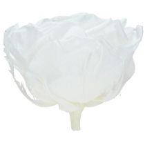Artikel Infinity Rosen Weiß Ø8,5cm - Echte Rosenköpfe, Premium Konservierte Blumen, 4 Stück