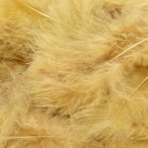Artikel Echte hellgelbe Federn 5cm–10cm 20g – Kreatives Basteln
