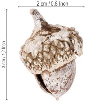 Artikel Eicheln Naturprodukt 1–3 cm Weiß gewaschen 300 g Dekoration