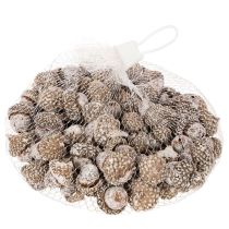 Artikel Eicheln Naturprodukt 1–3 cm Weiß gewaschen 300 g Dekoration