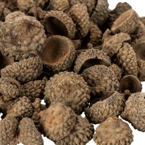 Artikel Eichelkappen Natur Braun 2cm 300g Dekoration Herbst Advent