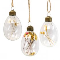 Eier zum Hängen, Trockenblumen, Ostereier, Glasdeko für den Frühling H6,5cm 6er-Set