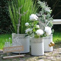 Artikel Pflanztopf mit Spitzenmuster, Gefäß aus Metall, Dekoeimer Weiß, Silbern Shabby Chic H28/25,5/23,5cm Ø29,5/25,5/20cm 3er-Set