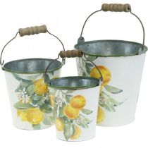 Deko-Eimer Zitronen Mediterranes Pflanzgefäß Ø13,5/11/9cm H14/11,5/cm 3er-Set