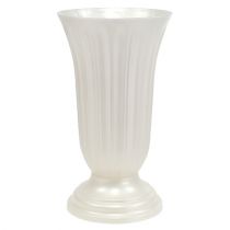 Einstellvase Lilia Perlmutt Ø28cm, 1St