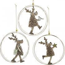 Rentier zum Hängen, Weihnachtsanhänger, Adventsdeko im Ring Ø15cm 3er-Set