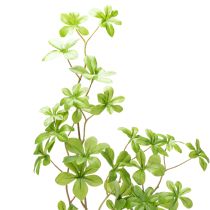 Artikel Kunstpflanze Schefflera Zweig 95cm Grün Dekoration für Wohnräume