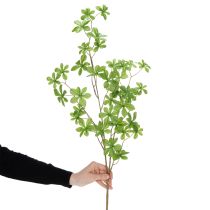 Artikel Kunstpflanze Schefflera Zweig 95cm Grün Dekoration für Wohnräume