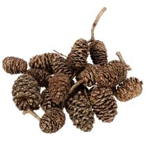 Artikel Erlenzapfen Naturprodukt mit Goldüberzug 3 cm 300 g für Dekoration und Floristik