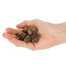 Artikel Erlenzapfen Naturprodukt mit Goldüberzug 3 cm 300 g für Dekoration und Floristik
